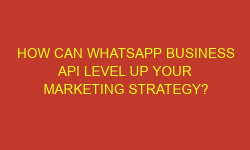 how can whatsapp business api level up your marketing strategy 35676 - How can WhatsApp Business API level up your marketing strategy?
