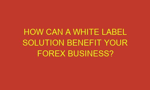 how can a white label solution benefit your forex business 73218 1 - How Can a White Label Solution Benefit your Forex Business?